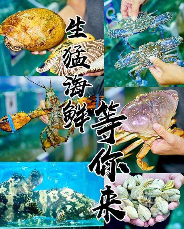 中國(guó)大部分的海鮮都是從代發(fā)貨這里批發(fā)？