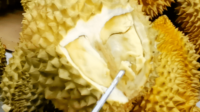 水果店老板賣榴蓮時(shí)，就靠這幾種方法進(jìn)貨，一挑一個(gè)準(zhǔn)，很少賠錢
