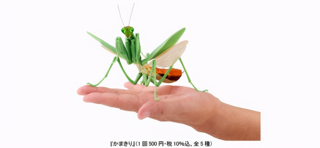日本五大玩具公司業(yè)績(jī)《鬼滅之刃》帶動(dòng)壽屋，多美三麗鷗繼續(xù)虧損