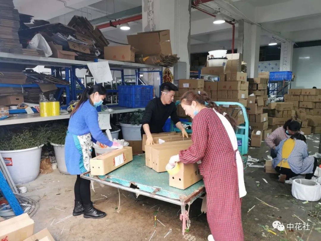 鮮花“一件代發(fā)”能長久嗎？