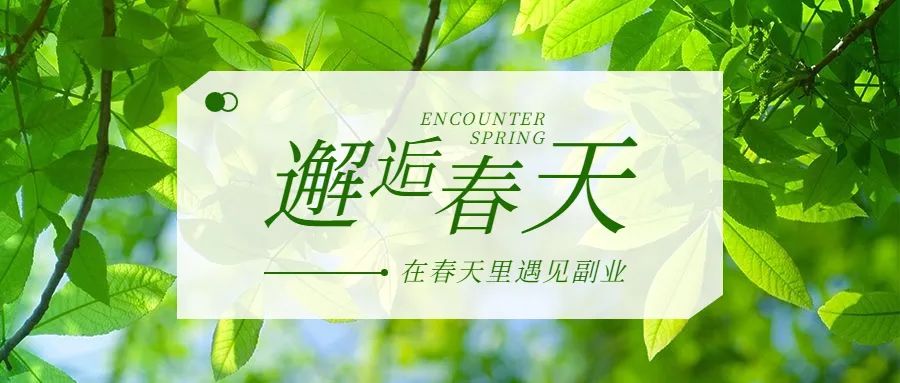 副業(yè)賺錢的路子有哪些？30個(gè)靠譜副業(yè)項(xiàng)目！