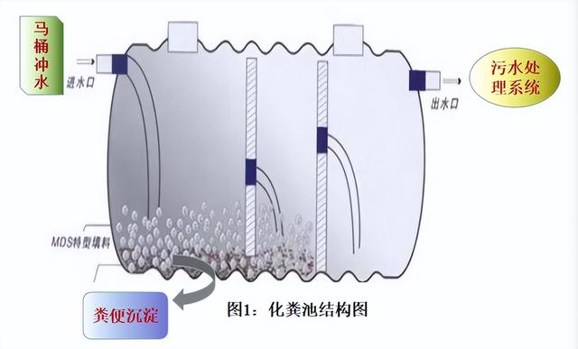 胰酪大豆胨怎么讀，胨怎么讀音？