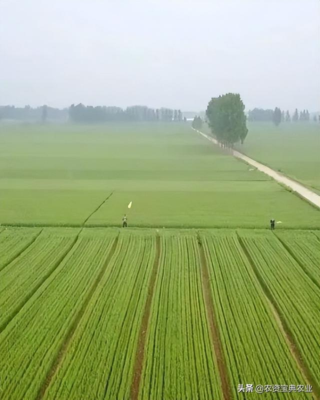 昆侖代理注冊，昆侖有限公司？