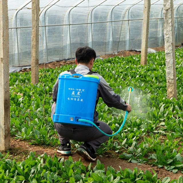 電子噴霧器價格，電動噴霧器價格？