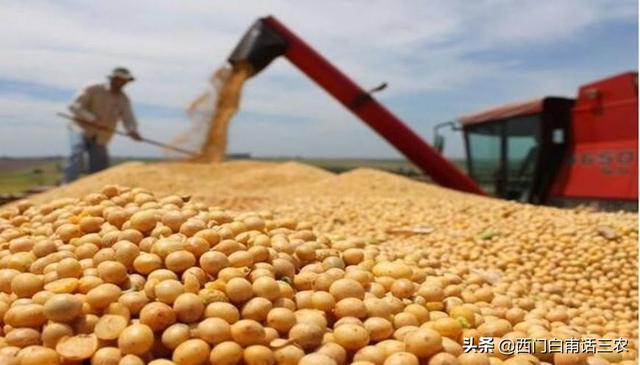 進(jìn)口大豆價(jià)格最新行情2021，進(jìn)口大豆價(jià)格最新行情2020？