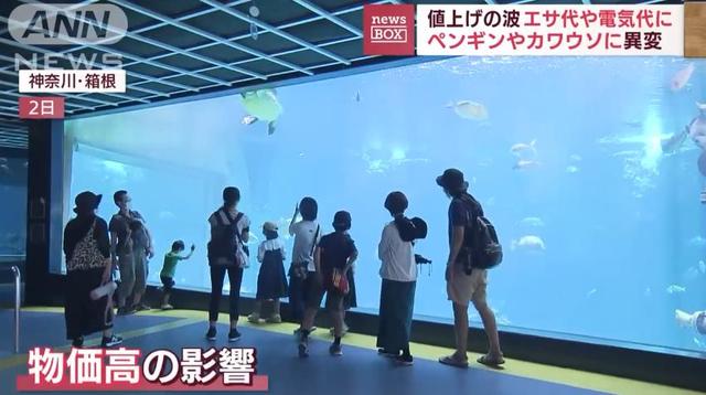 日生高級水族箱，日升水族箱廠家官網(wǎng)？