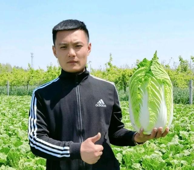 蔬菜批發(fā)新手如何進(jìn)貨，長沙蔬菜在哪里進(jìn)貨？