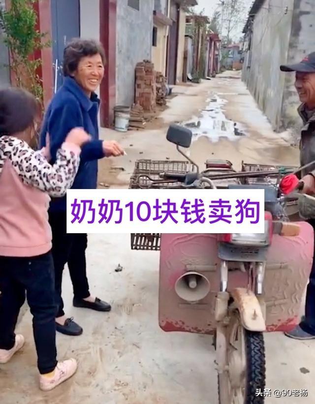 買小狗10元一只小型的，批發(fā)買小狗10元一只？
