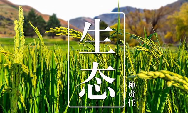大米批發(fā)進(jìn)貨渠道電話，大米批發(fā)進(jìn)貨渠道電話號(hào)碼？