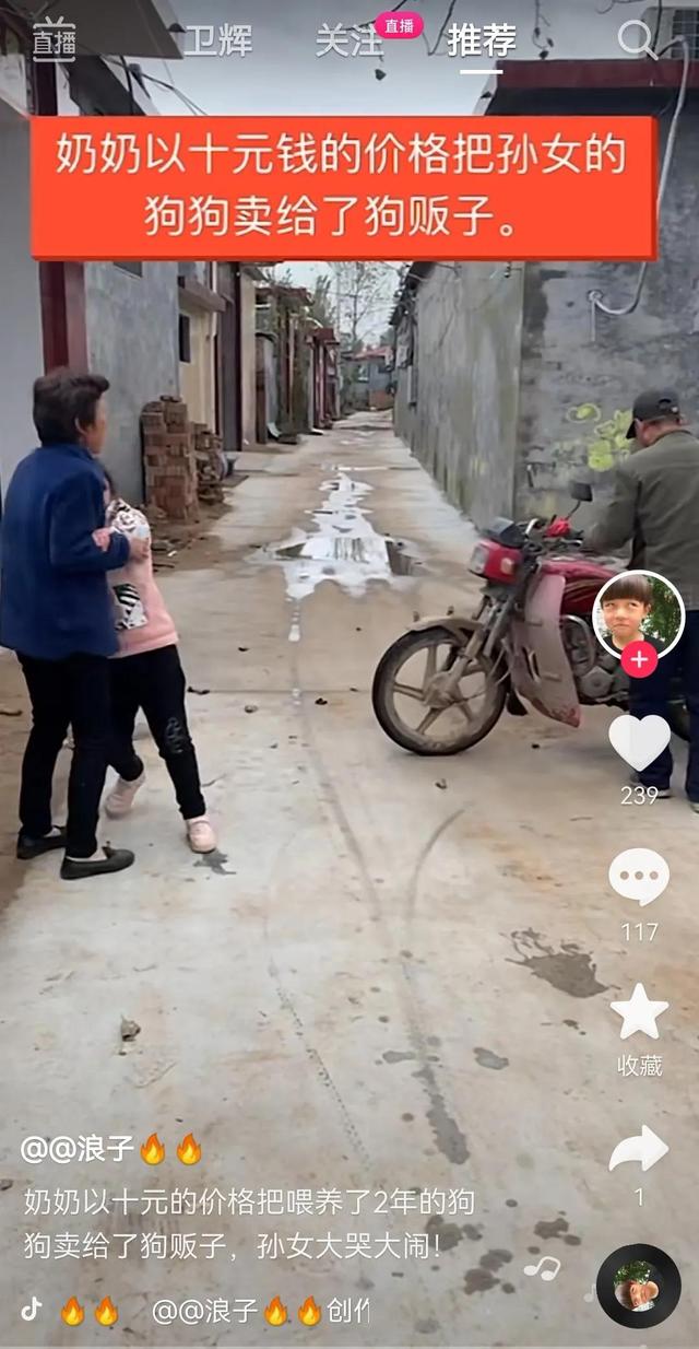 買小狗10元一只，買小狗10元一只茶杯犬？