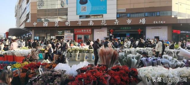 云南花卉批發(fā)基地在哪里，云南花卉批發(fā)基地在哪里有？