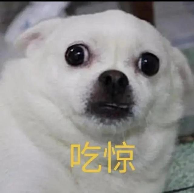 上海試藥員的正規(guī)報(bào)名渠道在哪，上海試藥員的正規(guī)報(bào)名渠道在哪找