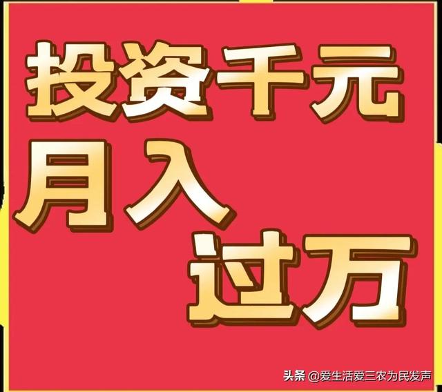 跑江湖地攤新產(chǎn)品，跑江湖地攤新產(chǎn)品怎么做