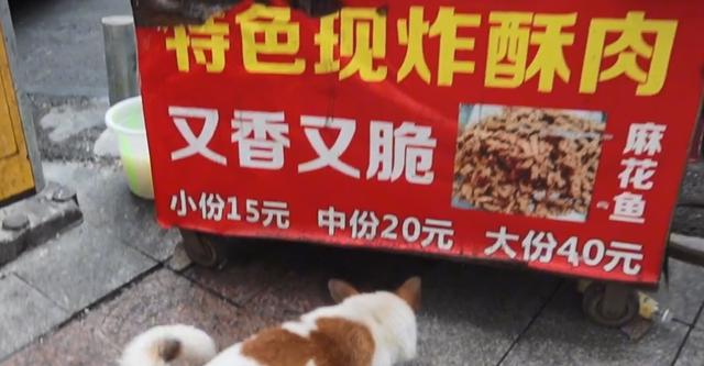 重慶50種地攤小吃圖片，重慶50種地攤小吃圖片大全