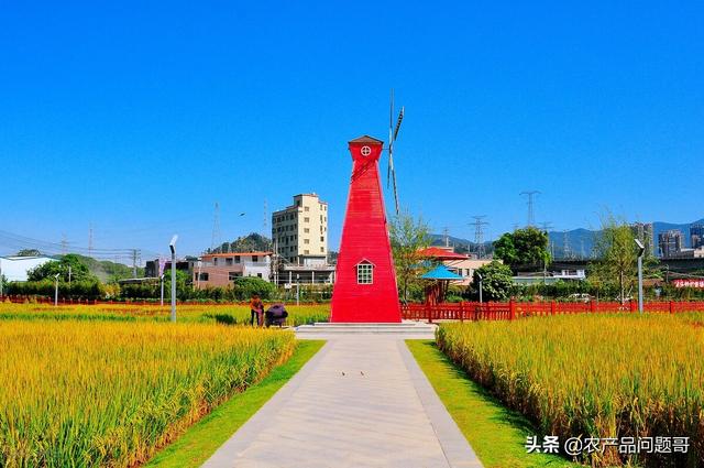 農(nóng)產(chǎn)品一手貨源批發(fā)網(wǎng)包郵,最便宜的最近的，農(nóng)產(chǎn)品批發(fā)網(wǎng)哪個(gè)便宜