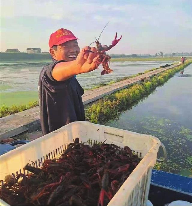在家做手工貨源從哪找許昌有沒有，許昌手工活外發(fā)_廠家怎么找