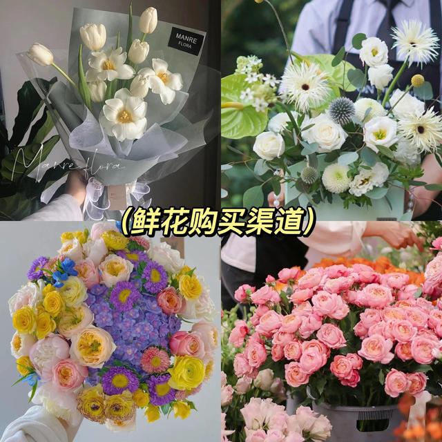 成都批發(fā)鮮花市場(chǎng)進(jìn)貨渠道在哪里，成都鮮花進(jìn)貨渠道
