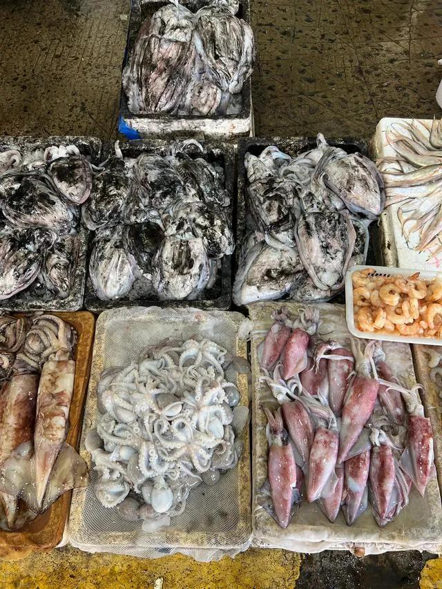 活海鮮批發(fā)一手貨源在哪里四川達(dá)州，達(dá)州哪里在買活海鮮？