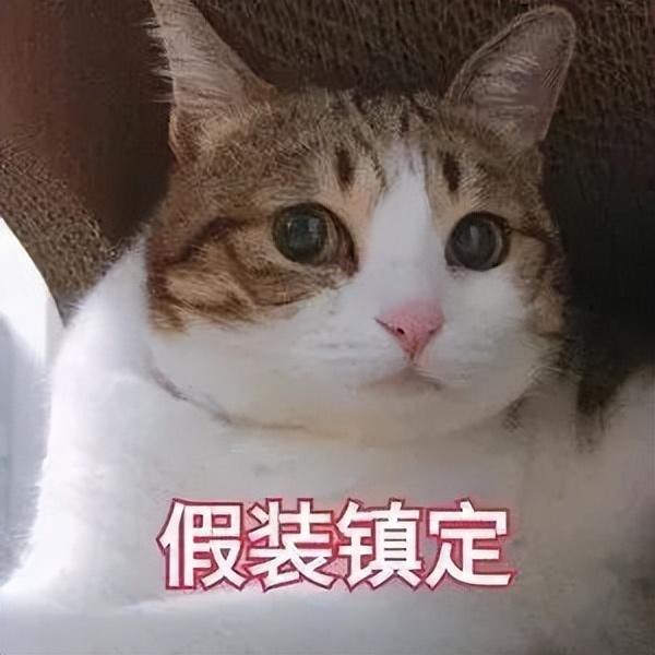 禮品公司怎么找貨源，禮品公司進(jìn)貨渠道？