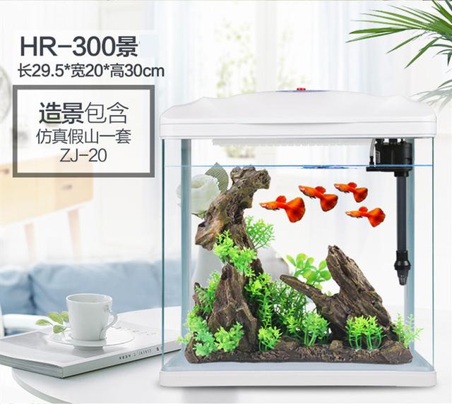 大型魚缸批發(fā)市場，觀賞魚魚缸批發(fā)最便宜？