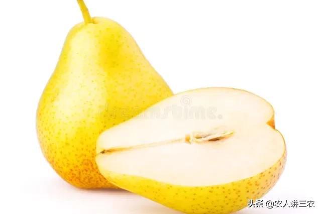 蘋(píng)果批發(fā)價(jià)格多少錢(qián)一斤算不貴，蘋(píng)果市場(chǎng)價(jià)格多少錢(qián)一斤？