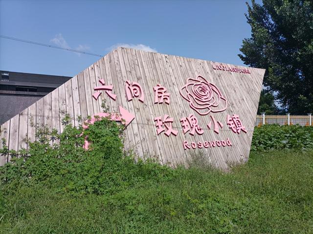 沈陽花卉批發(fā)基地在哪里，沈陽花卉批發(fā)基地在哪里??？