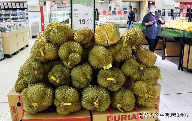 榴蓮批發(fā)5元一斤哪里有中午睡覺夢見自己的牙掉了，夢到自己買了一個榴蓮？