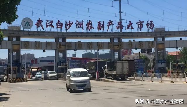 水產(chǎn)品批發(fā)市場(chǎng)在哪里，成都水產(chǎn)品批發(fā)市場(chǎng)在哪里？
