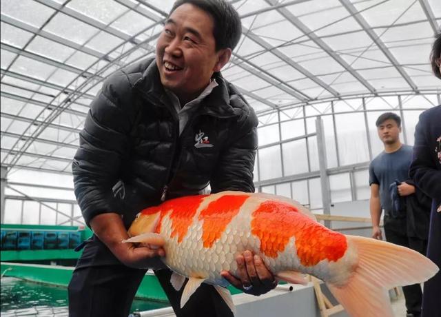 觀賞魚批發(fā)從哪里進貨最便宜_汕頭市，汕頭觀賞魚批發(fā)市場在哪里？
