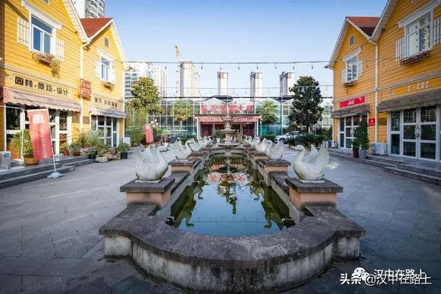 觀賞魚在哪批發(fā)，汕頭寵物魚批發(fā)在哪里？