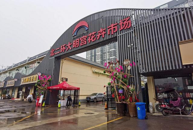 廣州花卉市場批發(fā)在哪里進，廣州花卉市場批發(fā)在哪里賣？