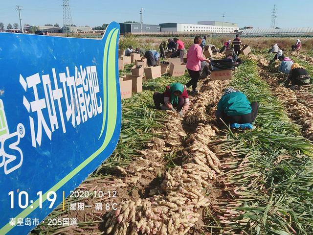 南寧肥料批發(fā)市場，南寧肥料廠家？