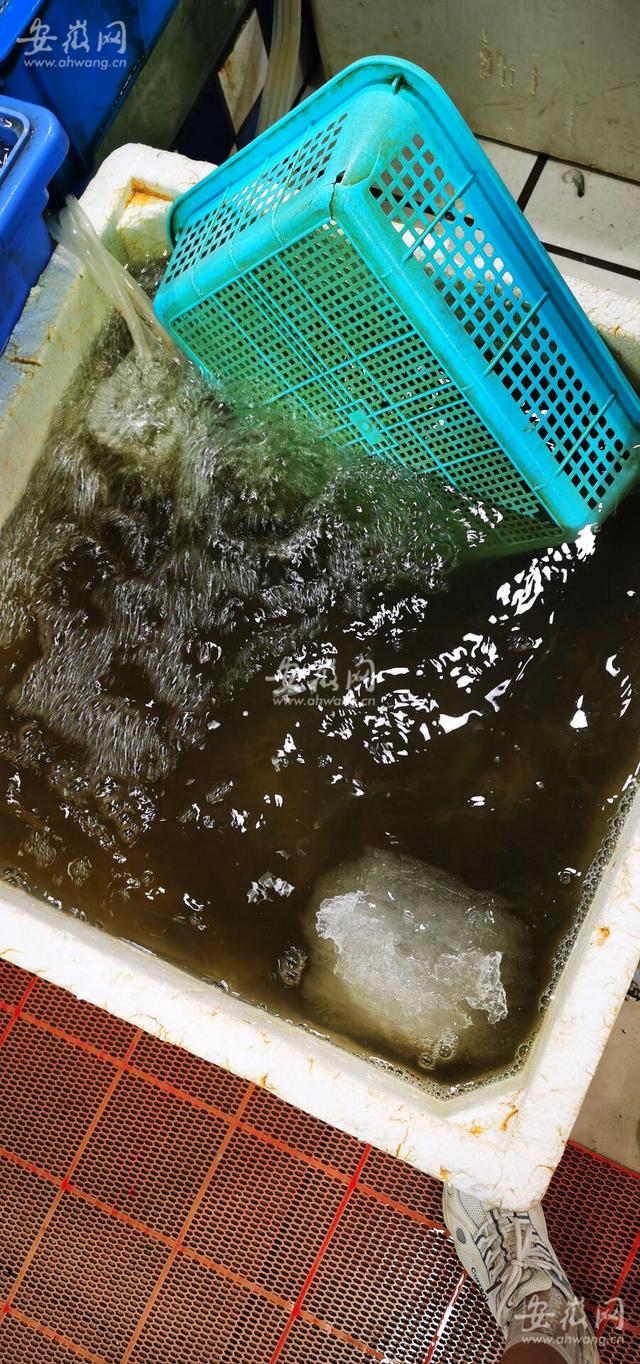 附近食用冰塊批發(fā)廠家，附近食用冰塊批發(fā)廠家電話？