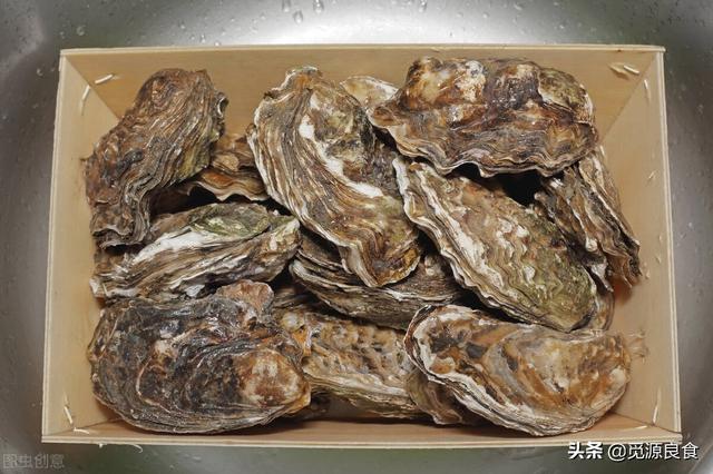 福建生蠔批發(fā)一手貨源，生蠔批發(fā)一手貨源多少錢一噸？