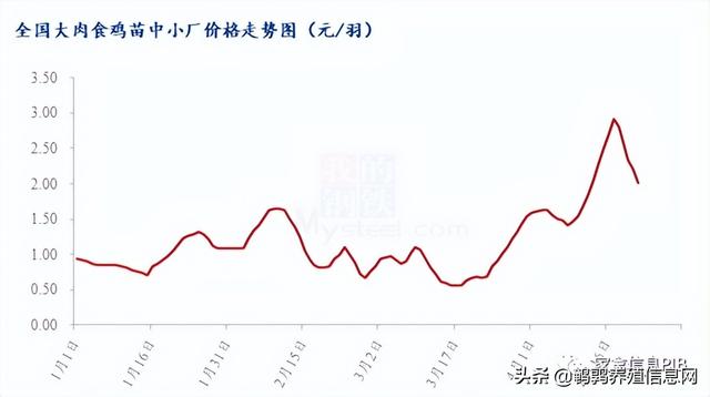 哪里有土雞苗批發(fā)，本地土雞苗批發(fā)市場(chǎng)？