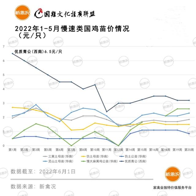 土雞苗批發(fā)市場(chǎng)在哪里，土雞苗批發(fā)市場(chǎng)在哪里的？