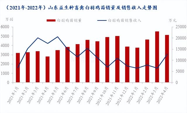 種禽龍頭4月銷售收入大幅上漲，白羽雞苗5月市場行情急轉(zhuǎn)直下