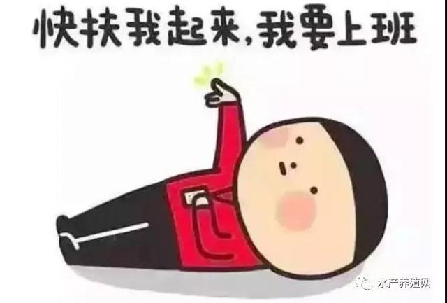 魚苗批發(fā)基地_批發(fā)市場，58同城魚苗批發(fā)？