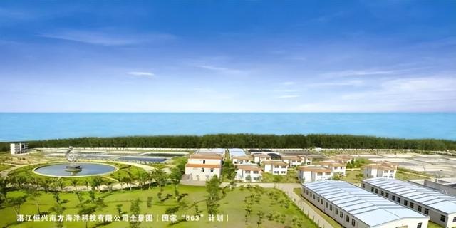河蝦苗批發(fā)蝦苗基地，哪里批發(fā)蝦苗？