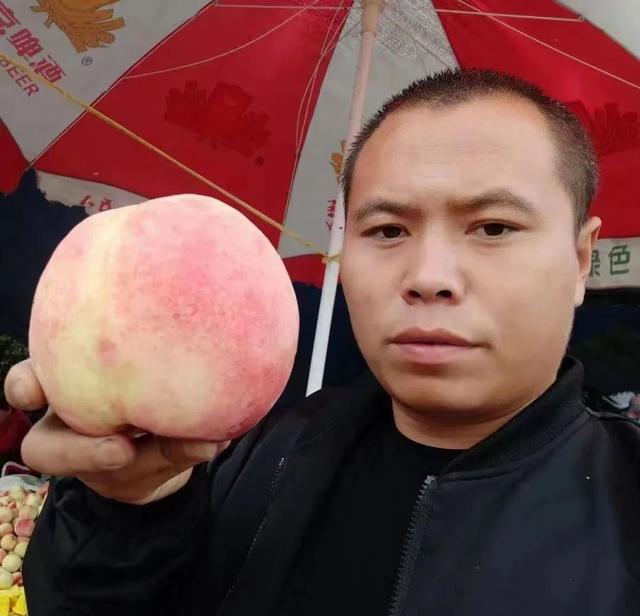 桃樹(shù)苗哪里有賣(mài)，棗油桃樹(shù)苗哪里有賣(mài)？