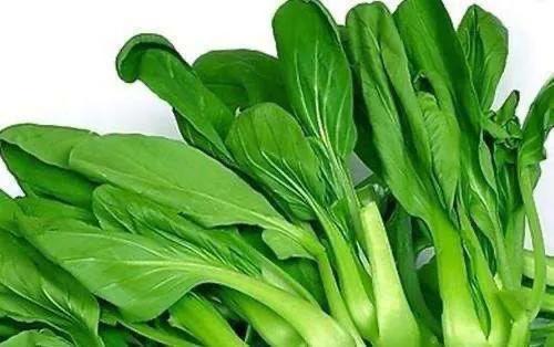 批發(fā)青菜_一天賺8000幾個小時最好，批發(fā)青菜_一天賺8000幾個小時能賺多少？