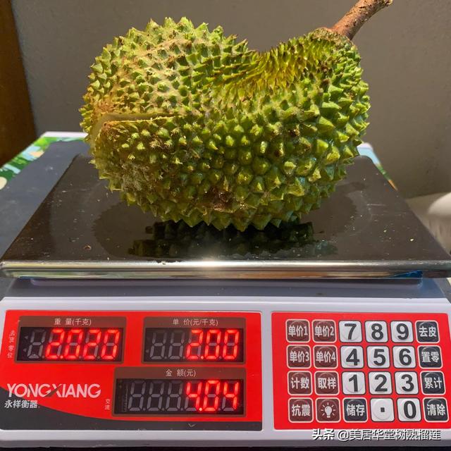 泰國榴蓮批發(fā)市場進(jìn)貨渠道官網(wǎng)，泰國榴蓮批發(fā)市場進(jìn)貨渠道在哪？