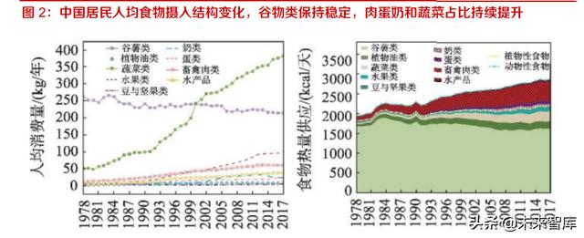 長沙凍貨批發(fā)市場進貨渠道，長沙凍貨批發(fā)市場進貨渠道有哪些？