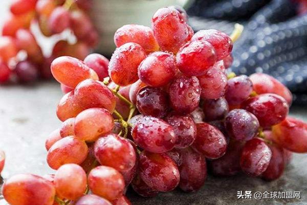 水果進貨渠道怎么找供貨商，水果店進貨渠道有哪些？
