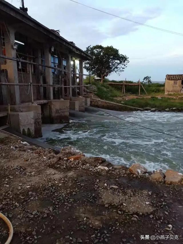 海鮮批發(fā)市場進貨渠道有電話號碼嗎，海鮮店去哪里進貨？