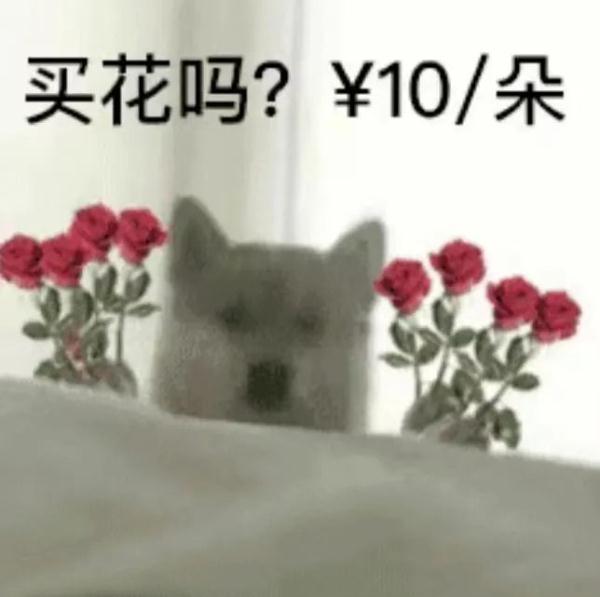 廣州的花卉批發(fā)市場(chǎng)，廣州哪里批發(fā)花卉市場(chǎng)？