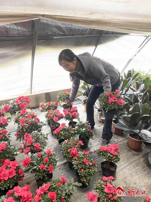 北京批發(fā)花卉去哪里進貨，北京批發(fā)花卉去哪里進貨便宜？