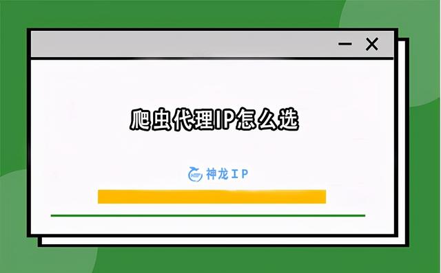 爬蟲需要的代理IP有哪些特點(diǎn)_爬蟲代理IP怎么選