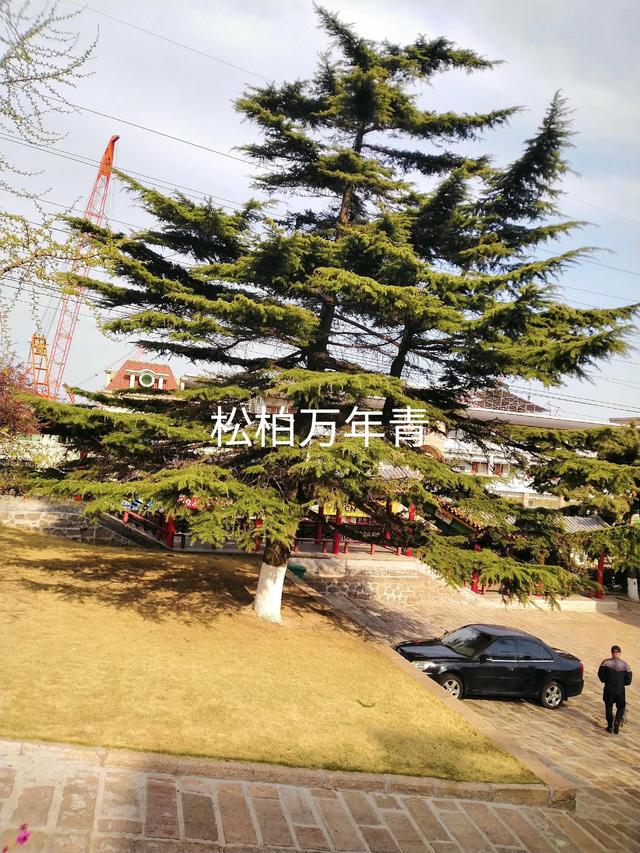 貨運(yùn)代理合同模板，化妝品代理合同模板？
