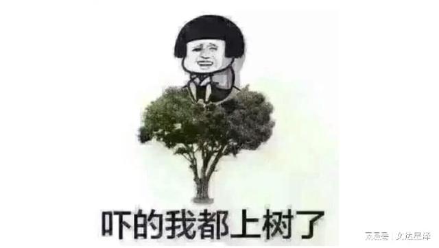 兼職會計和代賬公司，你們的2022年注定與眾不同
